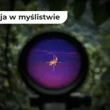 Widok przez lunetę termowizyjną: zając na tle fioletowego pola, jak widzi myśliwy.