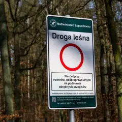 Nie zgub się w lesie! Jak zawsze trafić do samochodu?