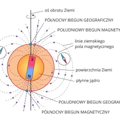 Co wskazuje kompas? Prawda o północy i nawigacji bez GPS!