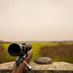 Karabin z lunetą na drewnianym blacie. Czy myśliwy może się urlopować, gdy czeka go takie pole?