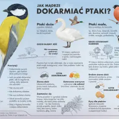 Ilustracja wyjaśnia, dlaczego myśliwi dokarmiają zwierzęta, pokazując różne gatunki ptaków i rodzaje pokarmu.