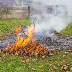 Ognisko w lesie: Gdzie wolno palić? Uniknij 30 000 zł kary