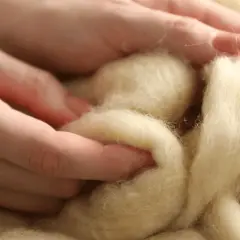 Czy wełna merino gryzie? Poznaj sekret jej miękkości