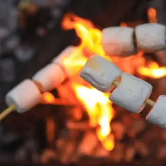 Pianki na ognisko: Które wybrać, by piec je jak mistrz?