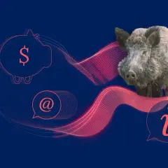 Dzik na tle grafiki z symbolem dolara i znakiem @. Czy myśliwy może dostrzelić ranne w kolizji zwierzę? Informacja.