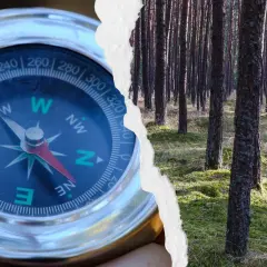 Zgubiony w lesie? Zbuduj najprostszy kompas z igły i wody!