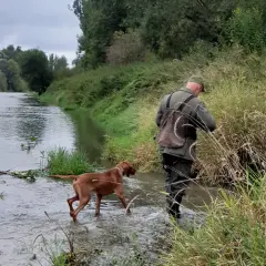 Myśliwy z psem wchodzi do rzeki. Czy myśliwy może polować sam z psem? Tak, ten obraz pokazuje, że jest to możliwe.
