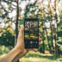 Telefon w lesie: Jak się nie zgubić i wrócić bezpiecznie?