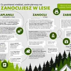 Ognisko w lesie: Legalnie i bezpiecznie? Gdzie i jak palić?
