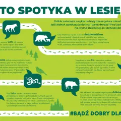 Jak sprawdzić kiedy myśliwi polują? Grafika pokazuje zwierzęta leśne i instrukcje, jak się zachować.