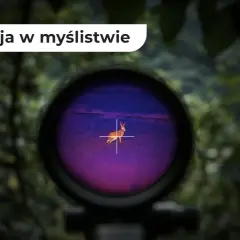 Widok przez lunetę termowizyjną: zając na tle fioletowego pola, jak widzi myśliwy.