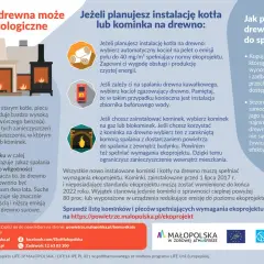 Drewno na ognisko: Co palić, czego unikać? Poradnik eksperta.