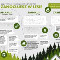 Planuj, zanocuj, zabierz: co zabrać pod namiot? Sprawdź pogodę, mapę, zaplanuj dojazd i weź worek na śmieci. Pamiętaj o bezpieczeństwie.