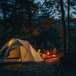 Oświetlony namiot w lesie, z ogniskiem i latarką, to idealne miejsce, gdzie można nocować w lesie.