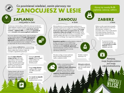 Jak rozpalić ognisko w lesie? Legalnie i bezpiecznie! (Poradnik)