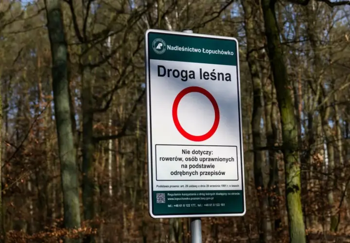 Nie zgub się w lesie! Jak zawsze trafić do samochodu?