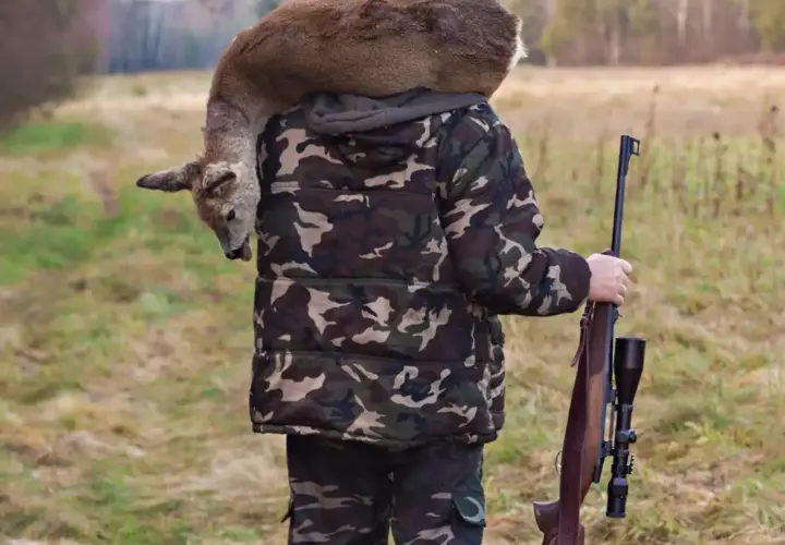 Myśliwy w kamuflażu niesie na ramionach upolowaną sarnę, trzymając sztucer. Czy myśliwy niestowarzyszony może polować?