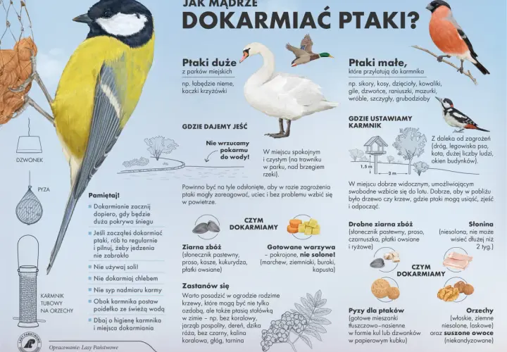 Ilustracja wyjaśnia, dlaczego myśliwi dokarmiają zwierzęta, pokazując różne gatunki ptaków i rodzaje pokarmu.
