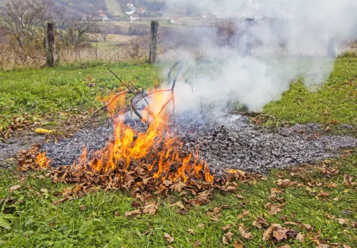 Ognisko w lesie: Gdzie wolno palić? Uniknij 30 000 zł kary