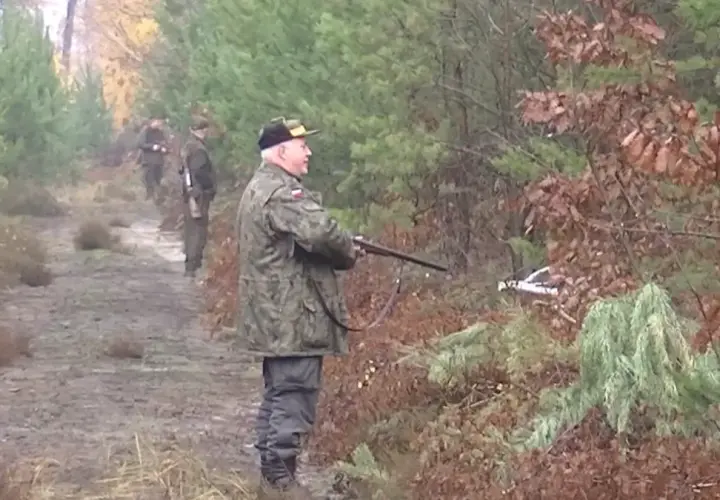 Myśliwy w mundurze z bronią na leśnej ścieżce. Czy myśliwy może wejść na teren prywatny? To pytanie nurtuje wielu.