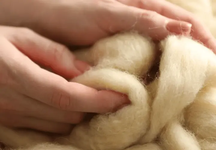 Czy wełna merino gryzie? Poznaj sekret jej miękkości