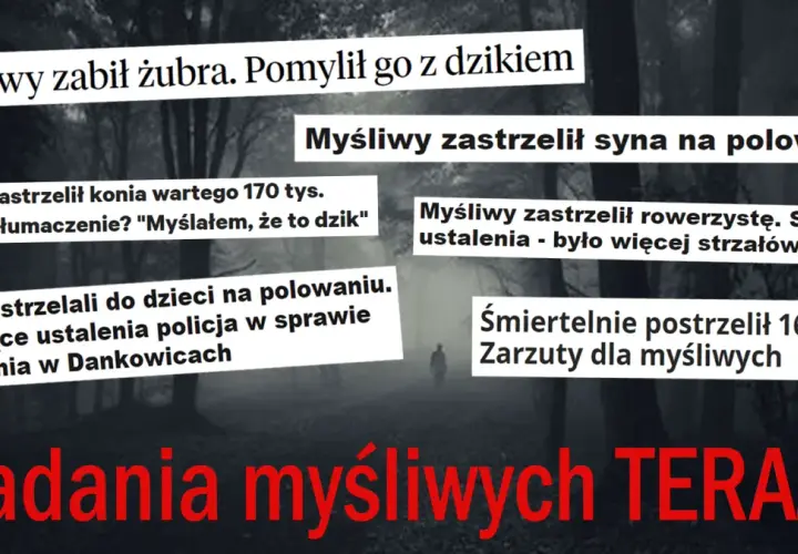 Czy myśliwy to zawód? Nagłówki o tragicznych wypadkach: zabity żubr, syn, koń, rowerzysta, dzieci. "Badania myśliwych TERAZ!