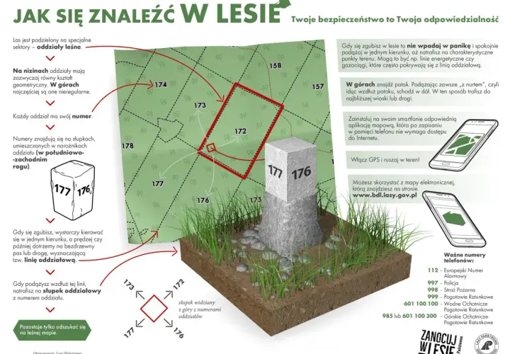 Mapa lasu z zaznaczonymi oddziałami, słupkami granicznymi i wskazówkami nawigacyjnymi.