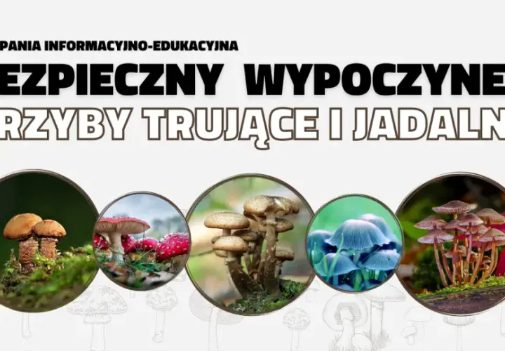 Grzybobranie: Bezpieczny poradnik survivalowy. Jadalne czy trujące?