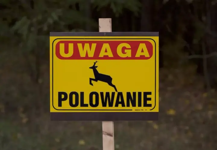 Żółty znak ostrzegawczy z napisem "UWAGA POLOWANIE" i sylwetką biegnącego jelenia.
