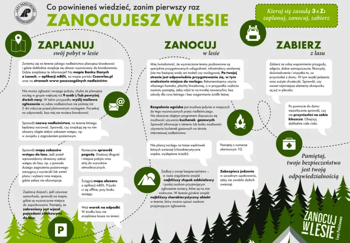 Ognisko w lesie: Legalnie i bezpiecznie? Gdzie i jak palić?
