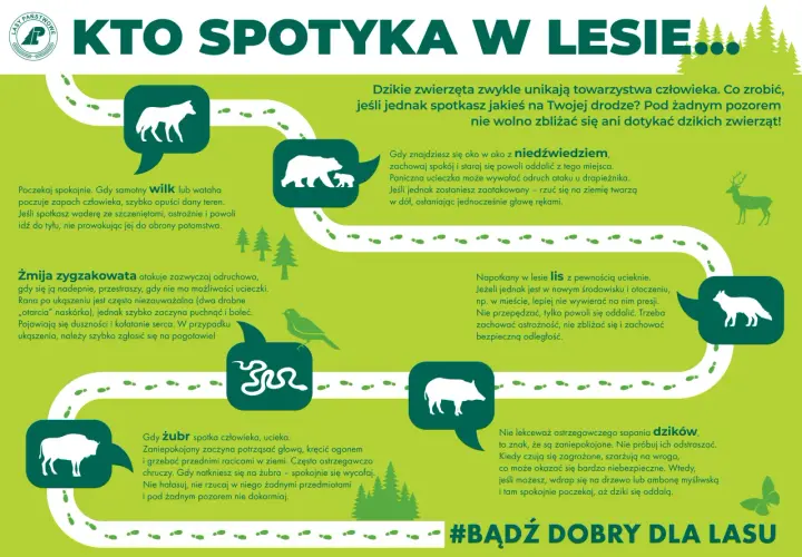 Jak sprawdzić kiedy myśliwi polują? Grafika pokazuje zwierzęta leśne i instrukcje, jak się zachować.