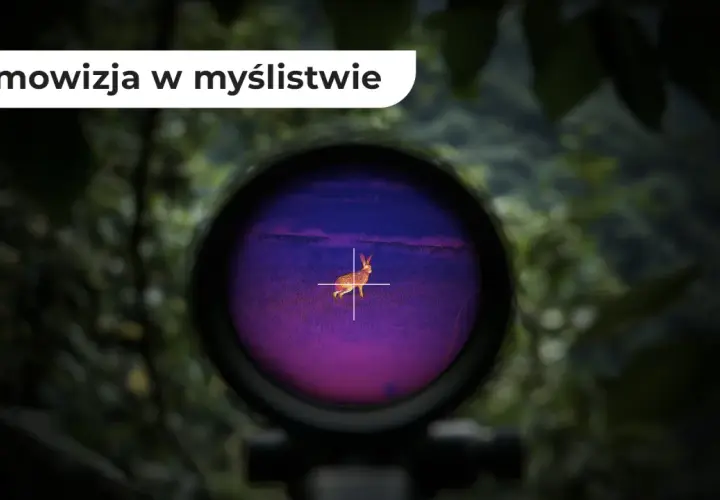 Widok przez lunetę termowizyjną: zając na tle fioletowego pola, jak widzi myśliwy.