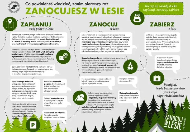 Łuk w lesie: Czy to legalne? Poznaj ryzyko i alternatywy.