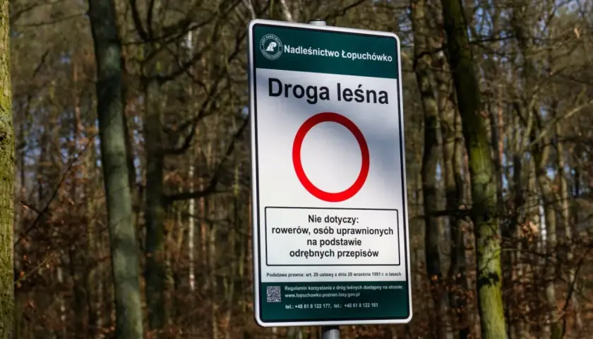 Nie zgub się w lesie! Jak zawsze trafić do samochodu?