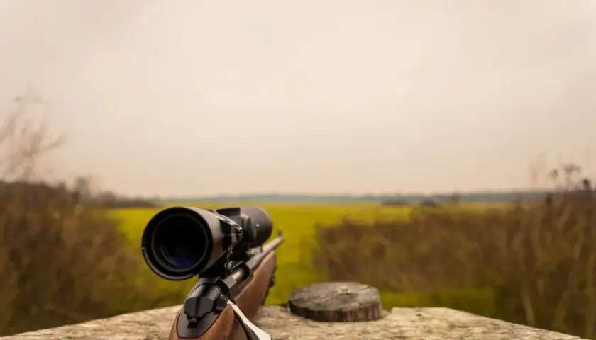 Karabin z lunetą na drewnianym blacie. Czy myśliwy może się urlopować, gdy czeka go takie pole?