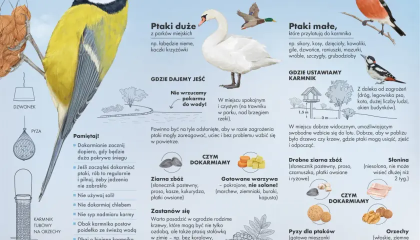 Ilustracja wyjaśnia, dlaczego myśliwi dokarmiają zwierzęta, pokazując różne gatunki ptaków i rodzaje pokarmu.