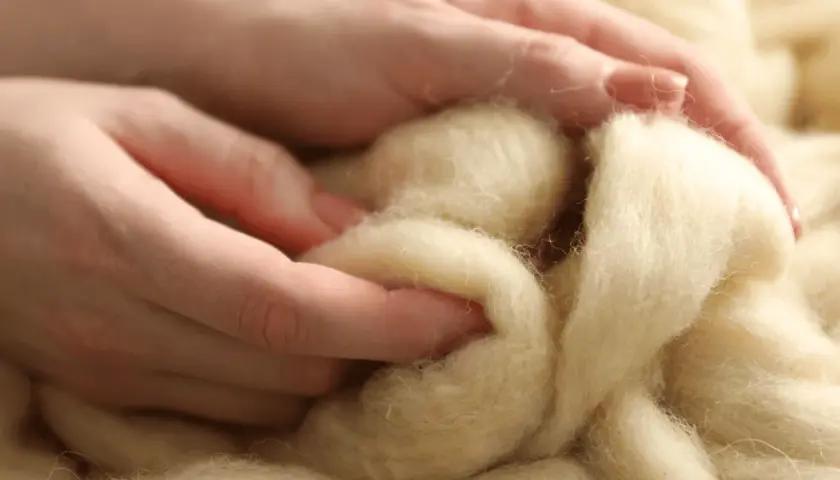 Czy wełna merino gryzie? Poznaj sekret jej miękkości
