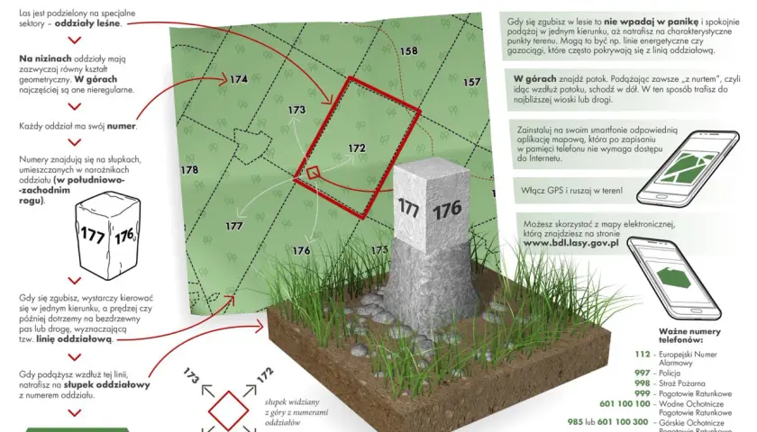 Mapa lasu z zaznaczonymi oddziałami, słupkami granicznymi i wskazówkami nawigacyjnymi.