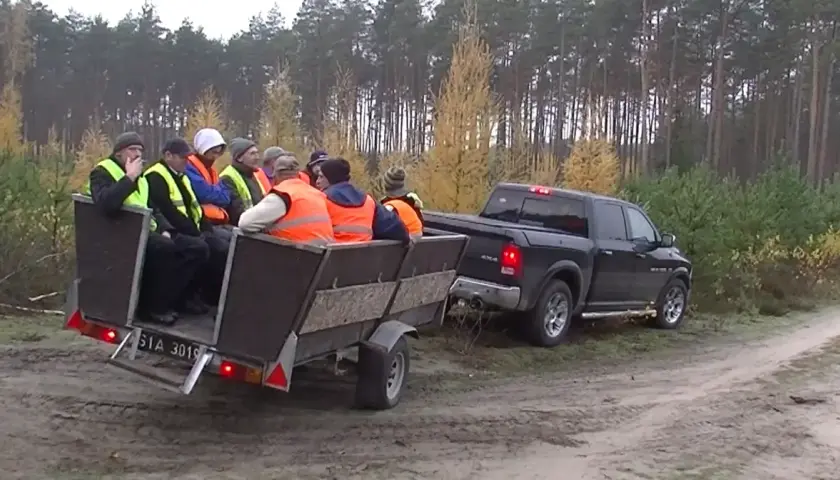 Grupa osób w kamizelkach odblaskowych jedzie przyczepą ciągniętą przez pickupa w lesie.
