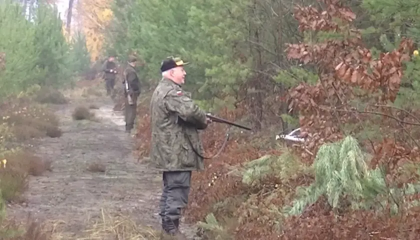 Myśliwi w lesie, w jakiej odległości od zabudowań mogą polować? Widać ich na ścieżce, wśród drzew.