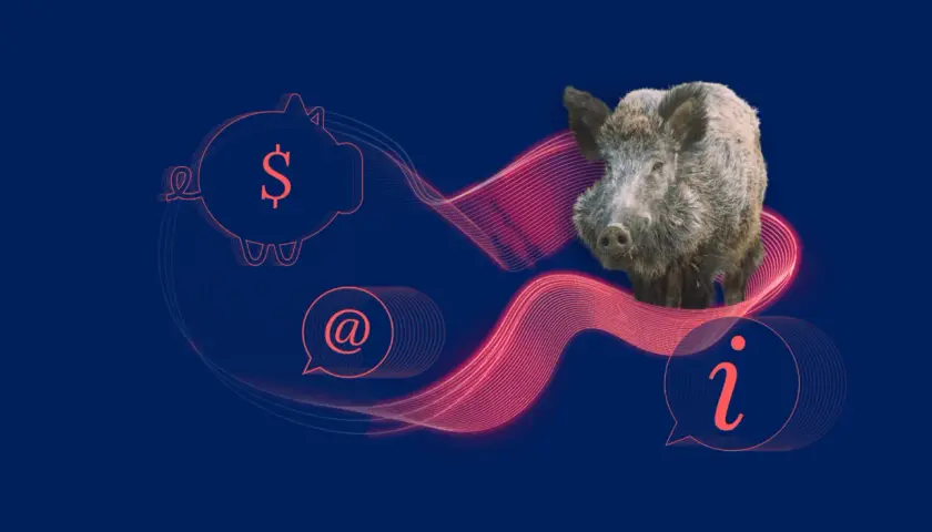 Dzik na tle grafiki z symbolem dolara i znakiem @. Czy myśliwy może dostrzelić ranne w kolizji zwierzę? Informacja.
