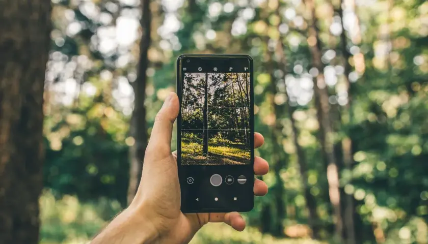 Telefon w lesie: Jak się nie zgubić i wrócić bezpiecznie?
