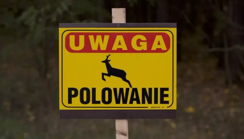 Żółty znak ostrzegawczy z napisem "UWAGA POLOWANIE" i sylwetką biegnącego jelenia.
