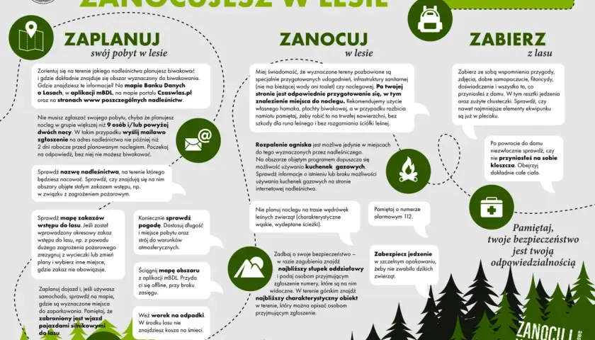 Ognisko w lesie: Legalnie i bezpiecznie? Gdzie i jak palić?