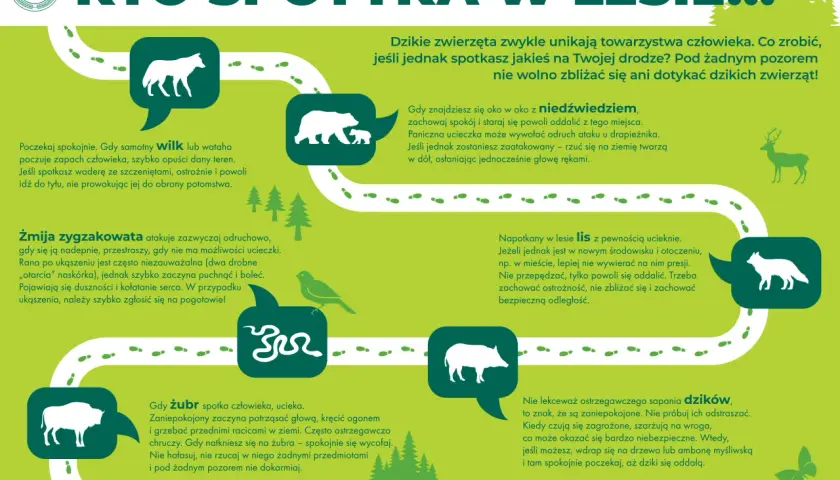 Jak sprawdzić kiedy myśliwi polują? Grafika pokazuje zwierzęta leśne i instrukcje, jak się zachować.