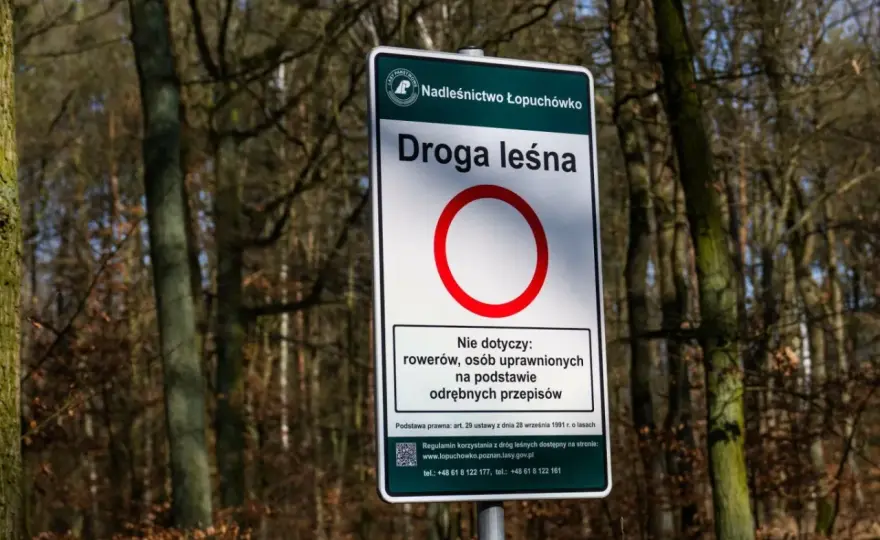 Nie zgub się w lesie! Jak zawsze trafić do samochodu?