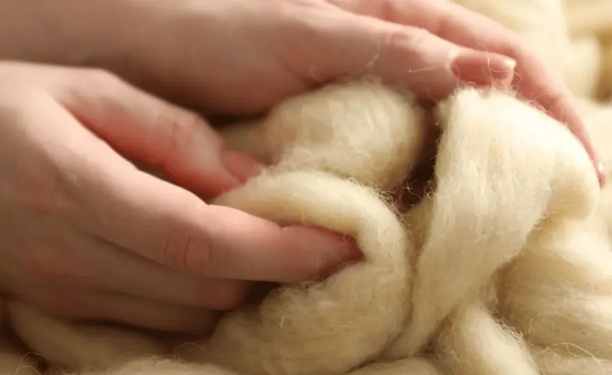 Czy wełna merino gryzie? Poznaj sekret jej miękkości