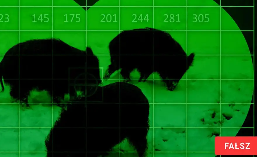 Nocne polowanie na dziki dubeltówką: legalne? Sprawdź przepisy