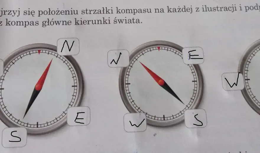 Jaki kierunek wskazuje kompas? Twoja pewność w terenie!