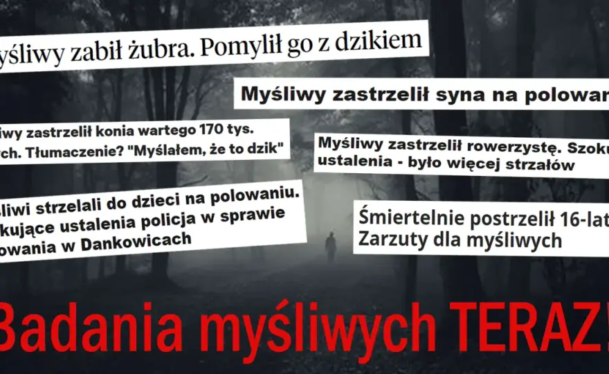 Czy myśliwy to zawód w Polsce? Fakty i mity